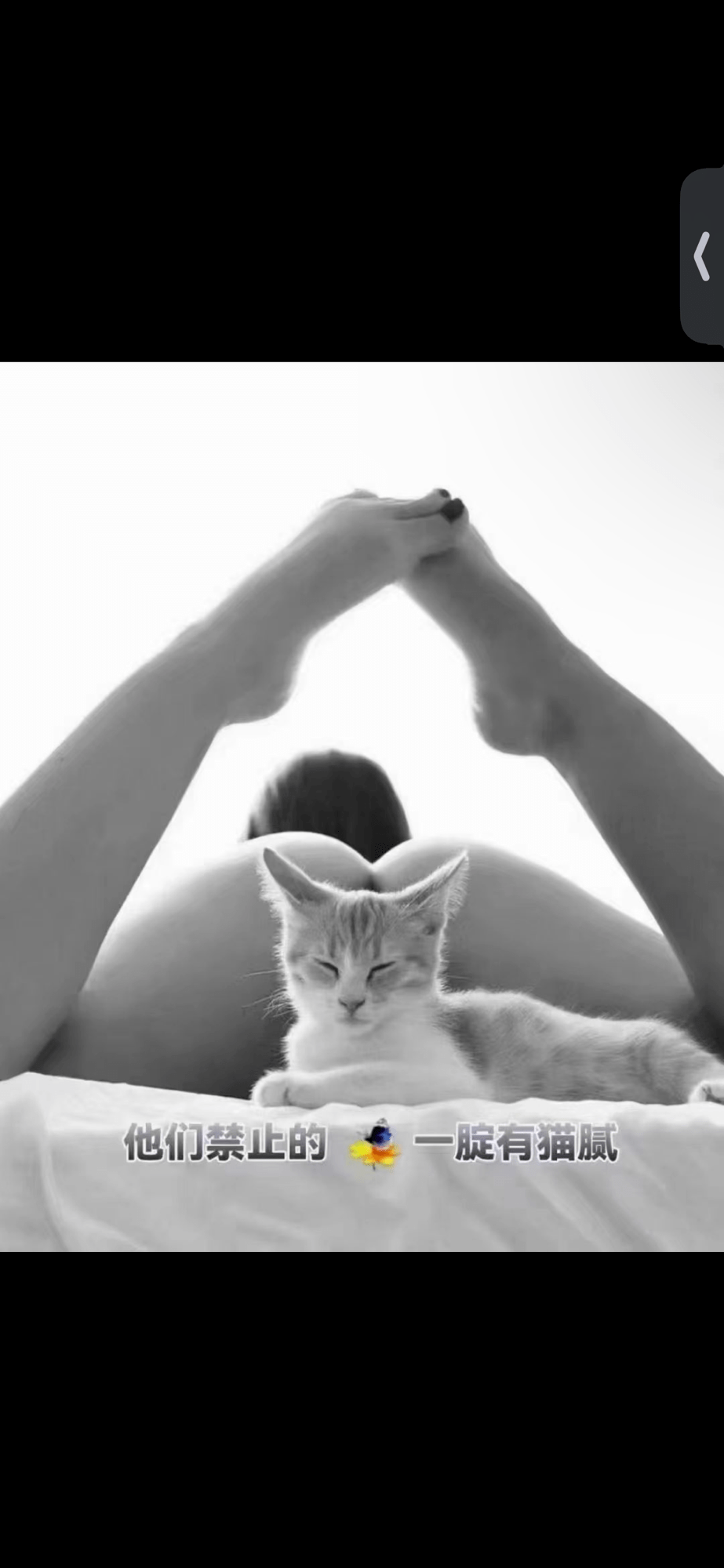 权力真正需要的,从来不是忠诚,而是表演